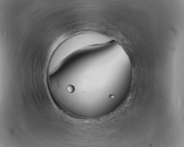 X0000114130003200910221514