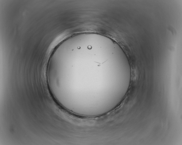 X0000114130004200910221514