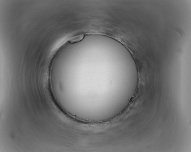 X0000114130005200910221514