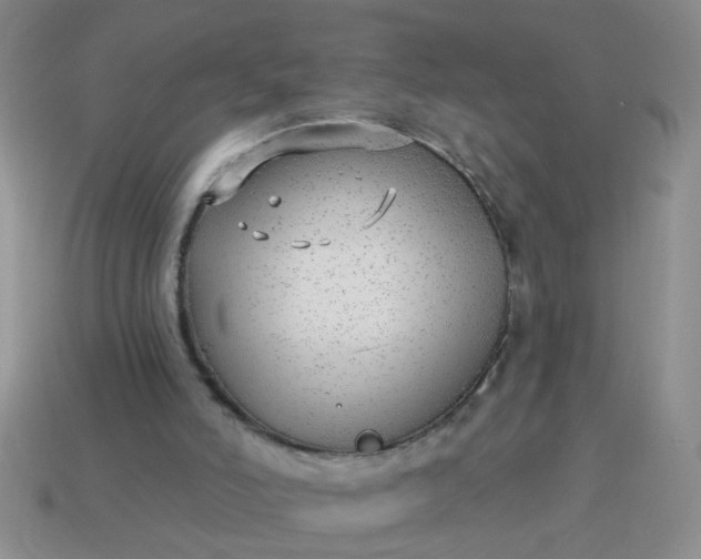 X0000114130006200910221514