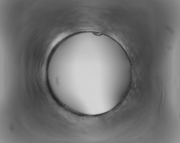 X0000114130008200910221514