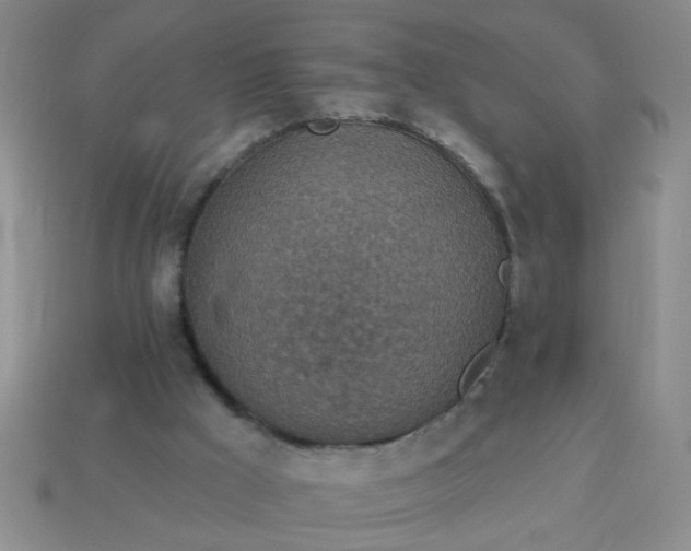 X0000114130009200910221514