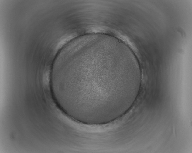 X0000114130010200910221514