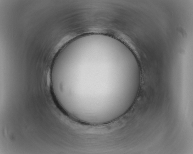 X0000114130011200910221514