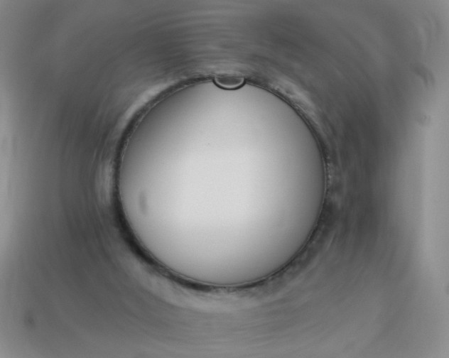 X0000114130012200910221514