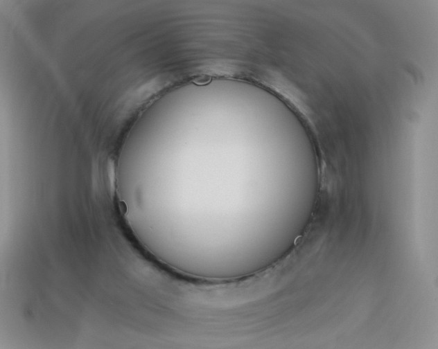 X0000114130013200910221514