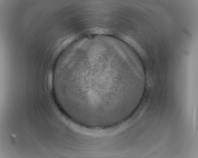 X0000114130014200910221514