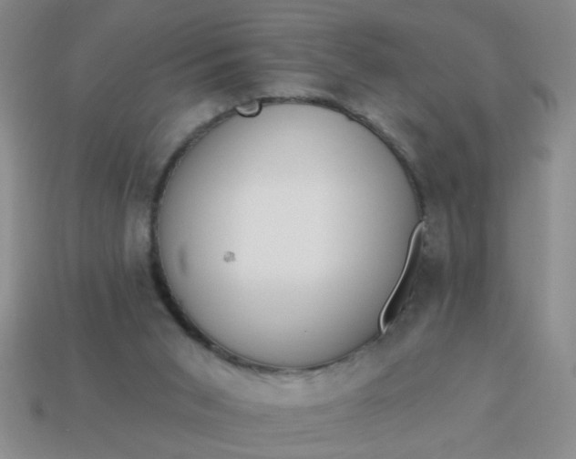 X0000114130015200910221514