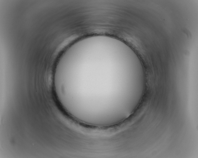 X0000114130016200910221514