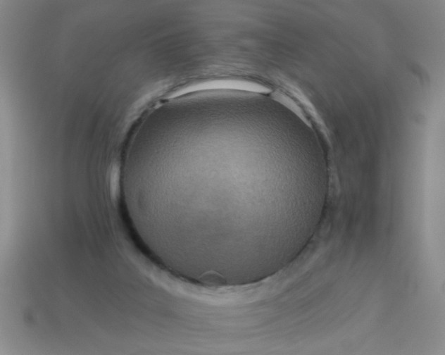 X0000114130019200910221514