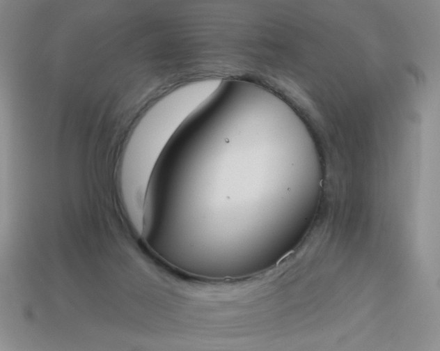 X0000114130021200910221514