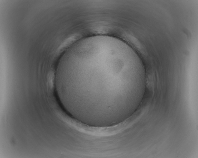 X0000114130023200910221514