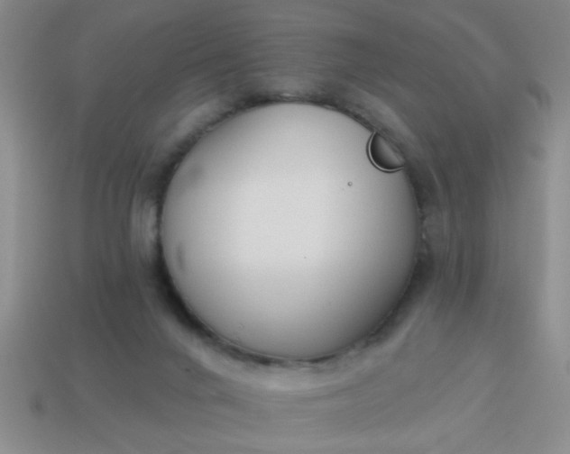 X0000114130024200910221514