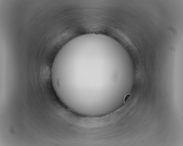 X0000114130025200910221513