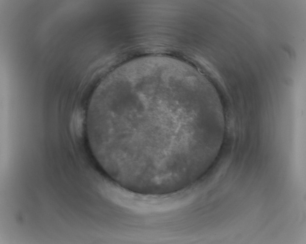 X0000114130026200910221513