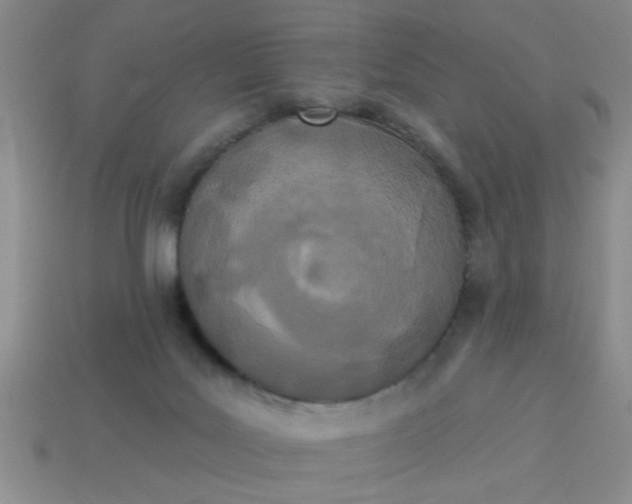 X0000114130027200910221513