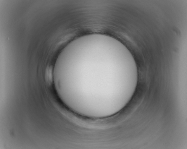 X0000114130028200910221513