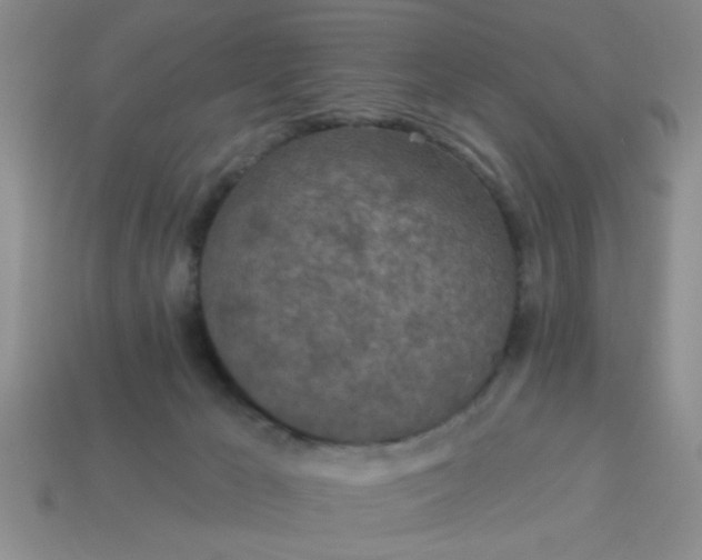 X0000114130029200910221513