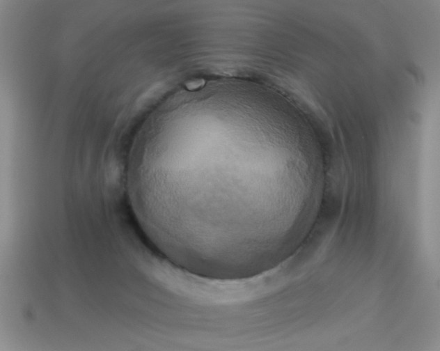 X0000114130031200910221513