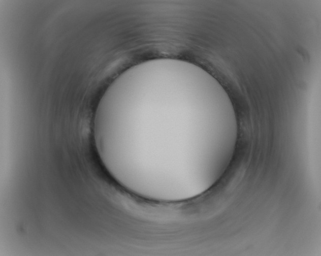 X0000114130032200910221513