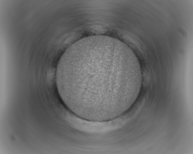 X0000114130034200910221513