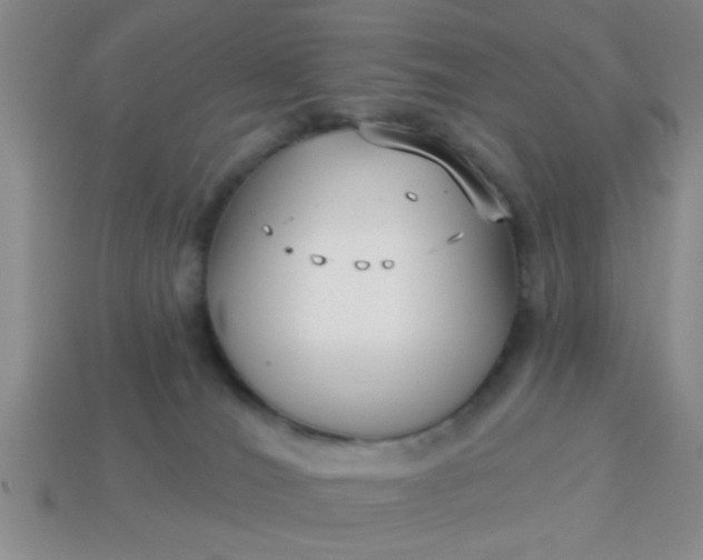 X0000114130036200910221513