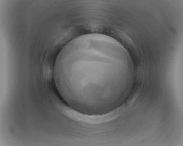 X0000114130039200910221513