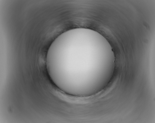 X0000114130040200910221513