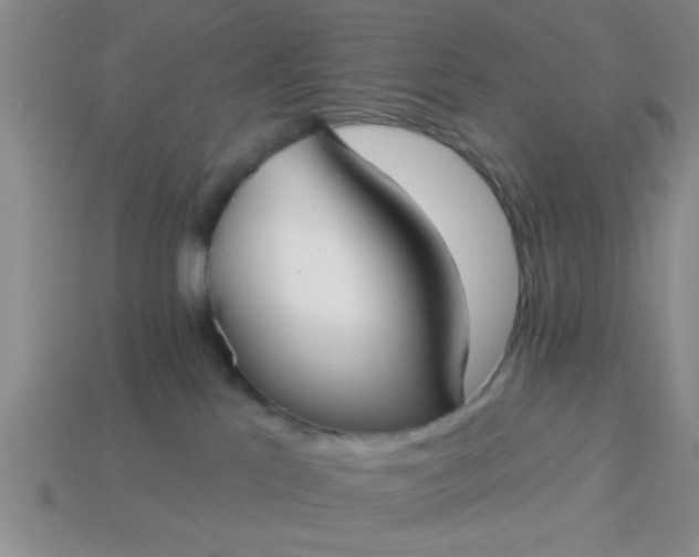 X0000114130041200910221513