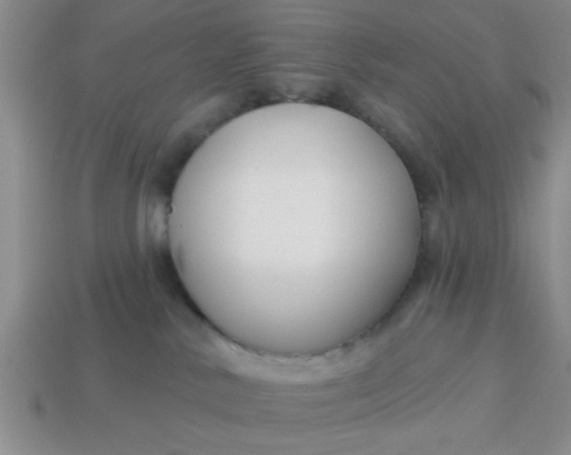 X0000114130042200910221513