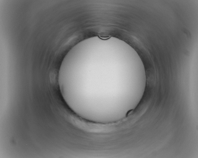 X0000114130044200910221513