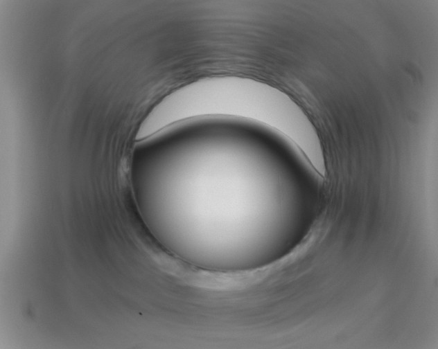 X0000114130045200910221513