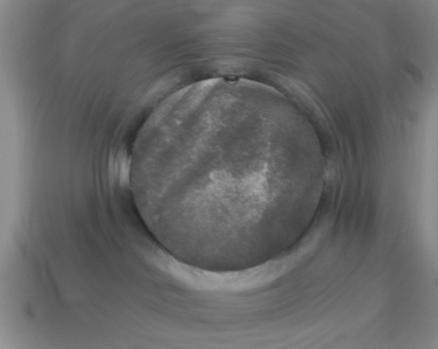 X0000114130046200910221513