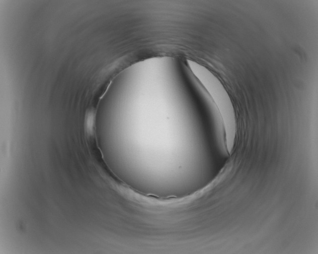 X0000114130047200910221513