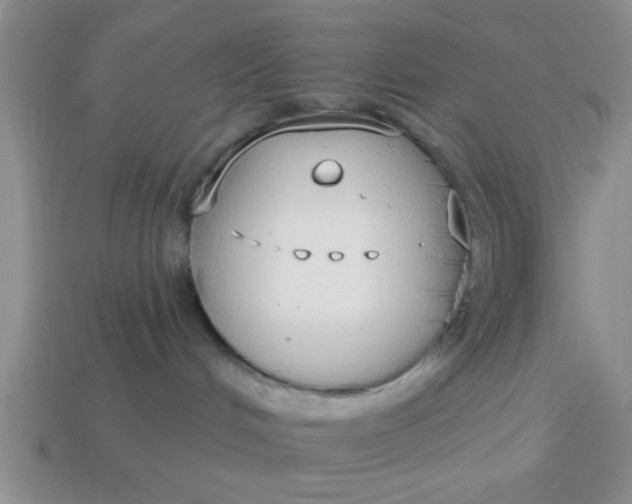 X0000114130048200910221513