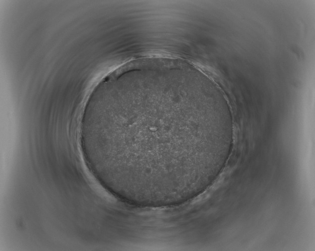 X0000114130049200910221513