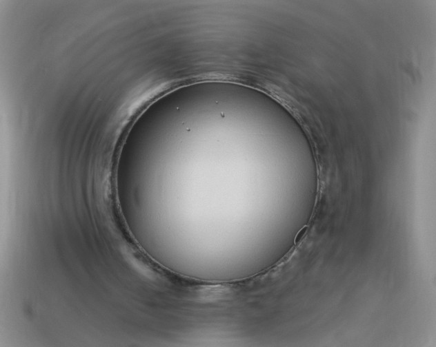 X0000114130050200910221513