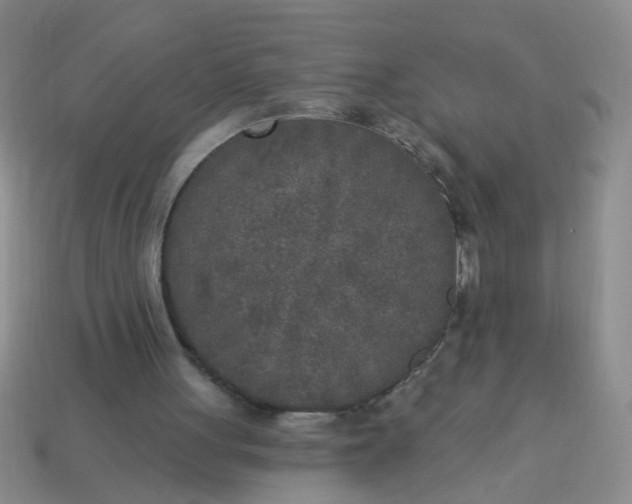 X0000114130051200910221513