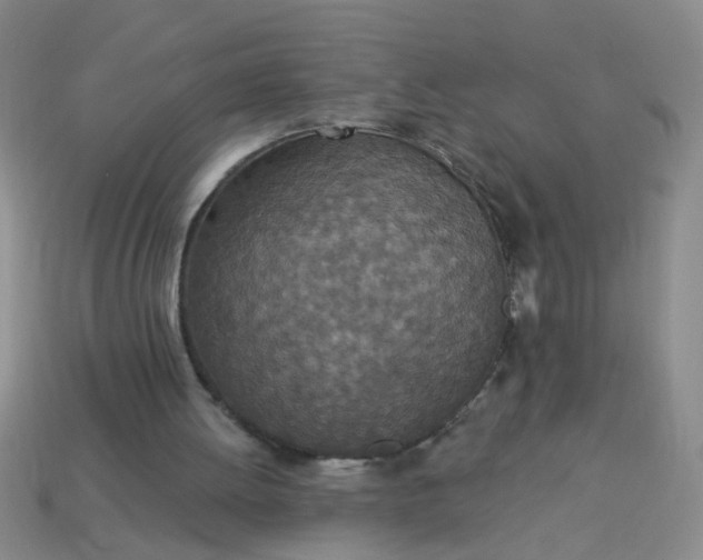 X0000114130052200910221513