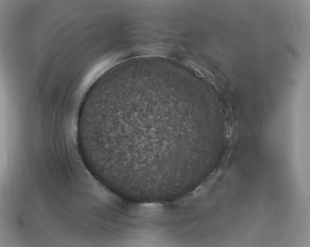 X0000114130053200910221513