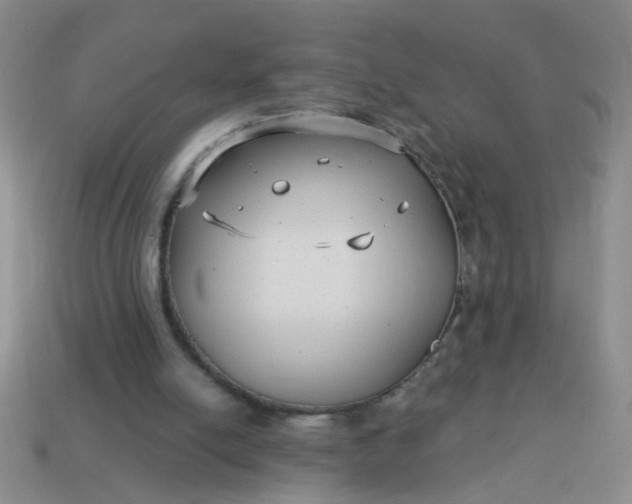 X0000114130054200910221513