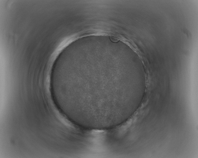 X0000114130055200910221513