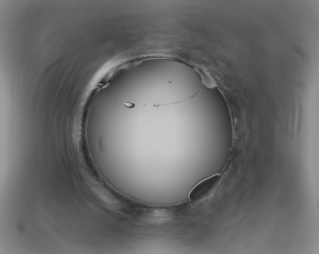 X0000114130056200910221513