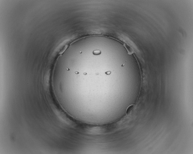 X0000114130058200910221513