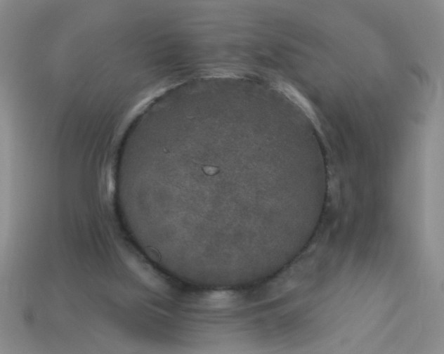 X0000114130059200910221513