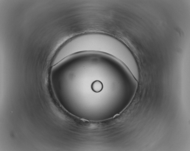 X0000114130060200910221513