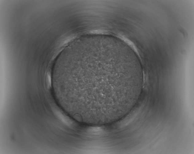 X0000114130061200910221513