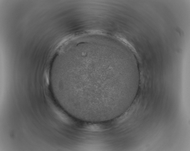 X0000114130062200910221513