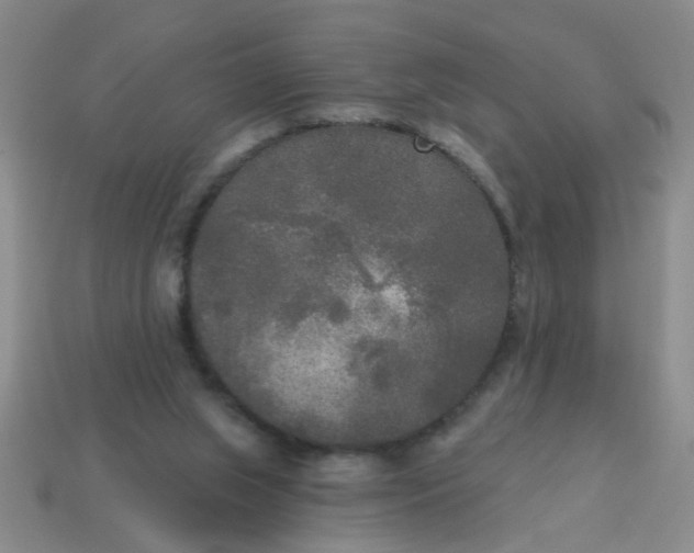 X0000114130063200910221513