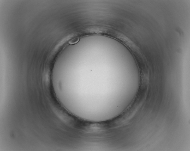 X0000114130064200910221513